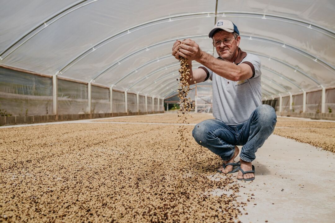 Família Douro, de Marechal Floriano, vence mais um concurso nacional de café