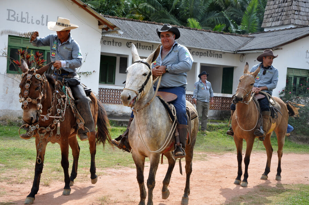 Expedição Tropeira vai ‘pousar’ na RuralturES 2021