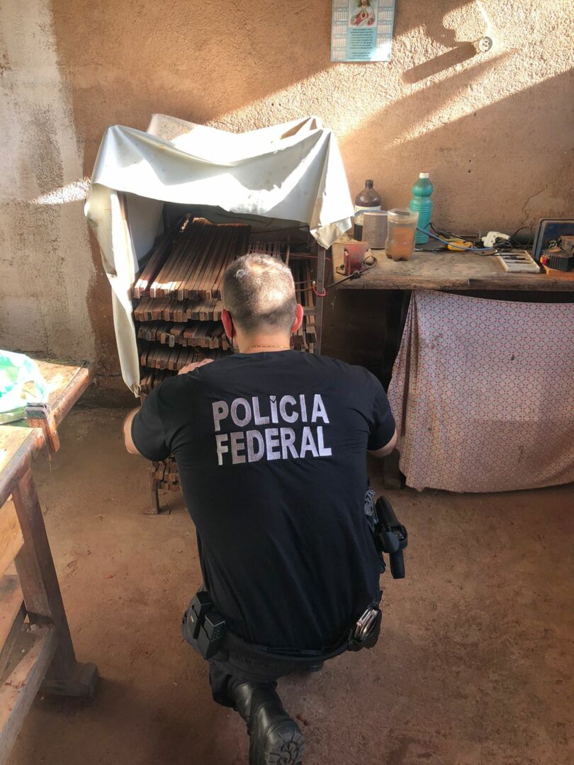 Polícia Federal e Ibama realizam operação contra venda internacional de arcos de violinos clandestinos