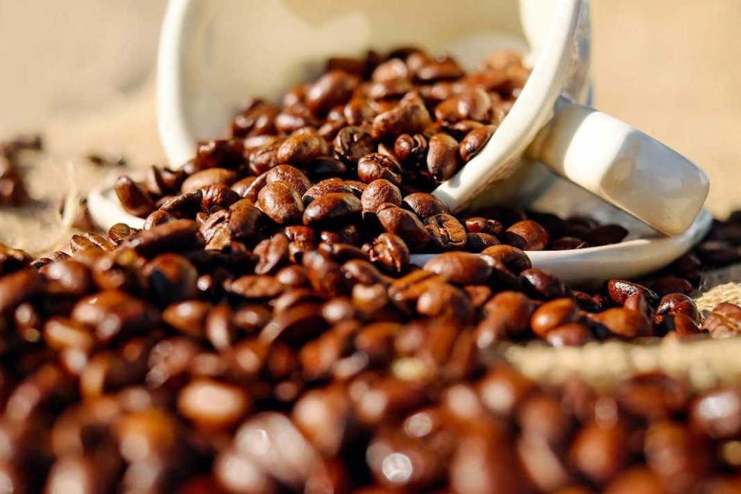 Faturamento dos Cafés do Brasil totaliza R$ 38,6 bilhões
