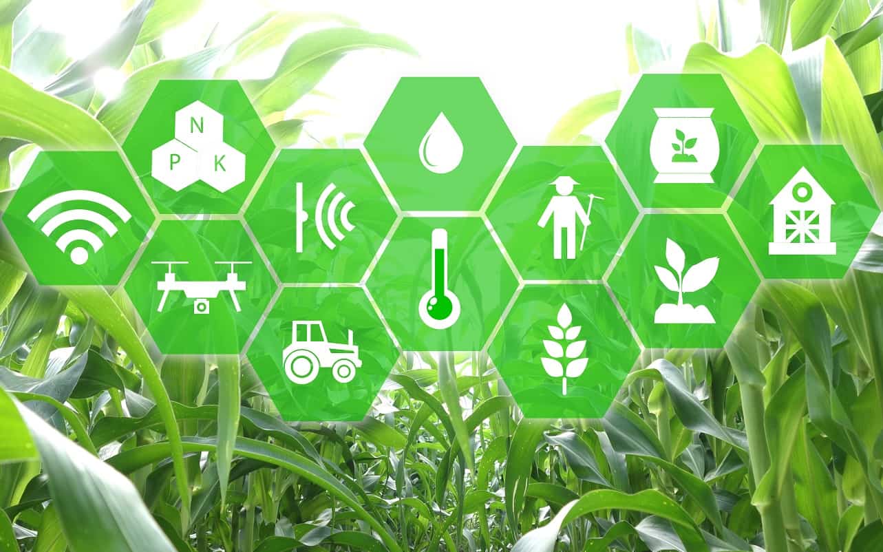 ‘Painel Agro’ apresentará dados da Produção Agropecuária do Espírito Santo