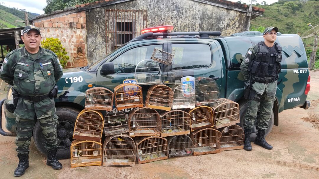 Polícia Militar Ambiental apreende 23 pássaros durante a Operação Asas Livres