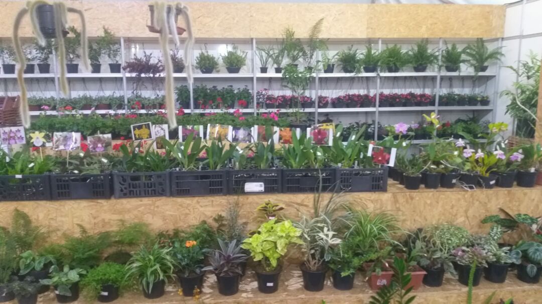 Feira Empresarial de Marechal Floriano faz sucesso de público na abertura