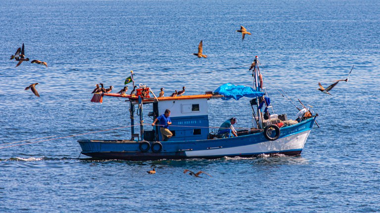 Pescadores profissionais devem fazer seu recadastramento on-line até setembro