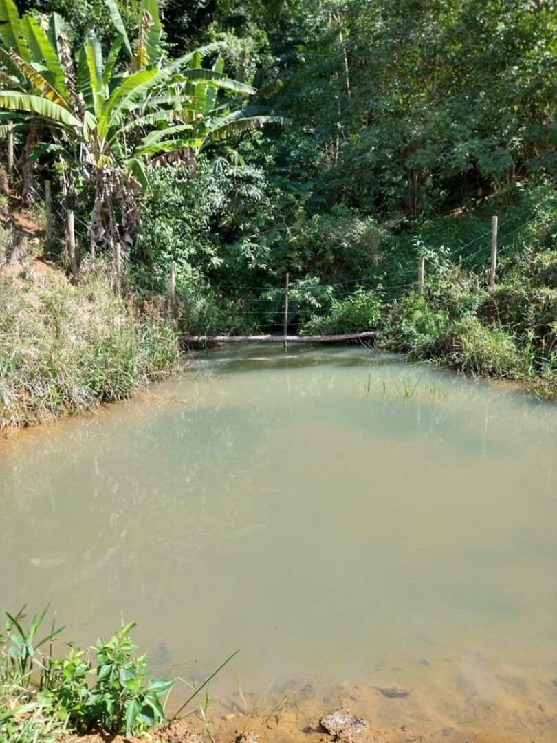 Projeto que preserva nascentes na bacia do Rio Santa Maria da Vitória será ampliado