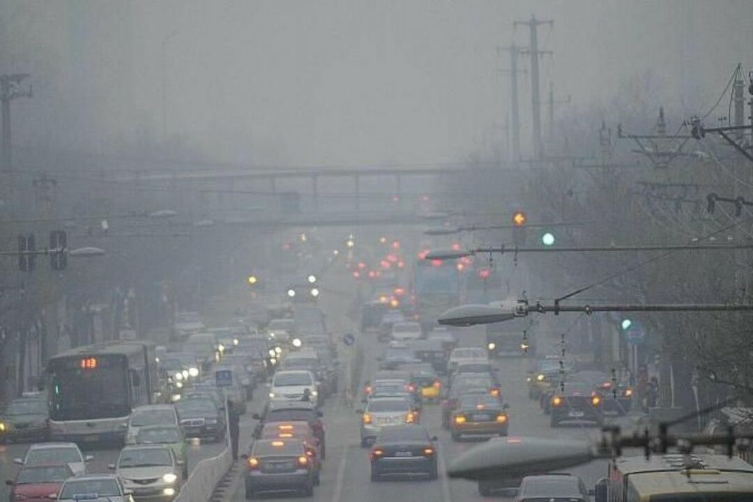 Impacto ambiental urbano pode ser maior que do agro