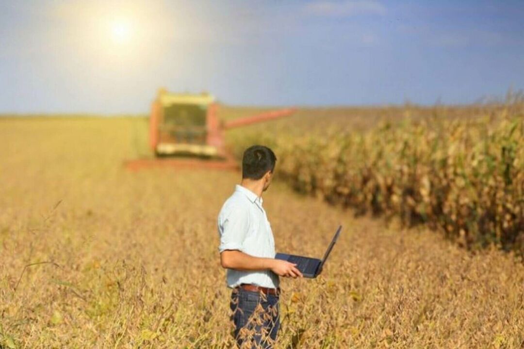 Primeira safra 2021/22 enfrenta excesso de chuvas e aumenta a procura por seguros