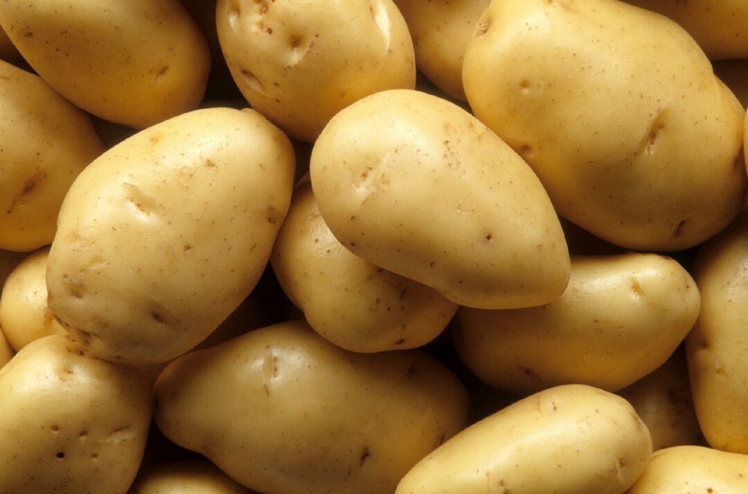 Batata apresenta queda de preços enquanto cebola sobe nas Centrais de Abastecimento