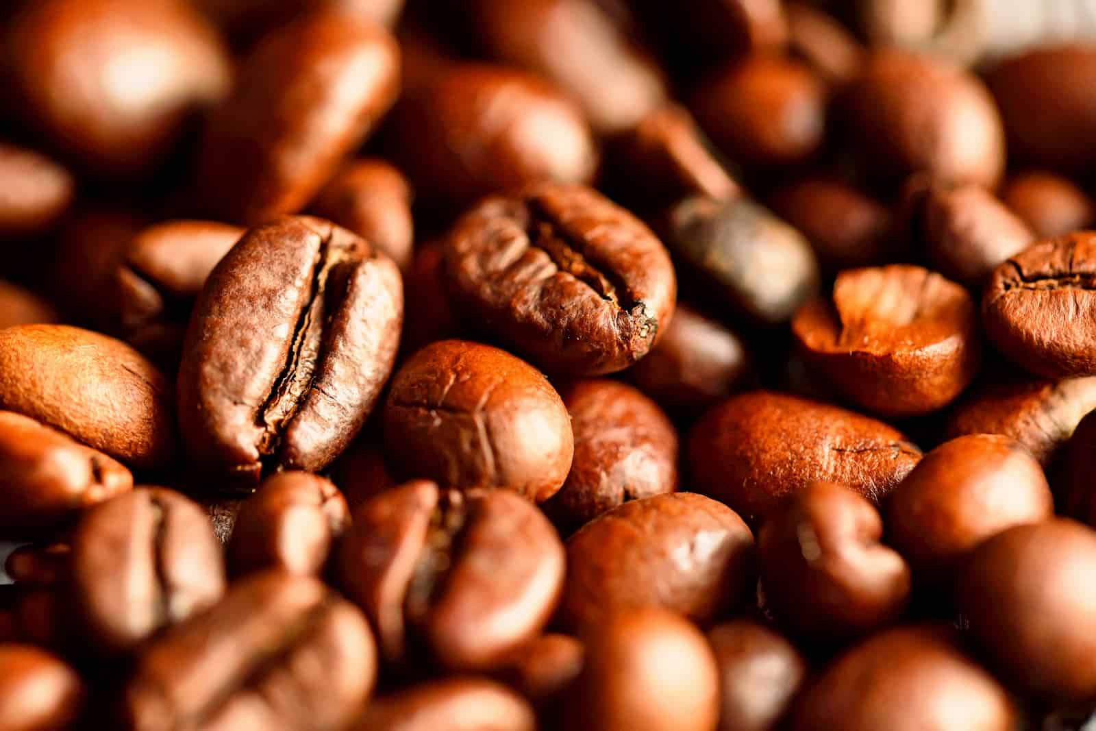 Países produtores mundiais de café se reúnem em defesa da produção contra restrições da União Europeia