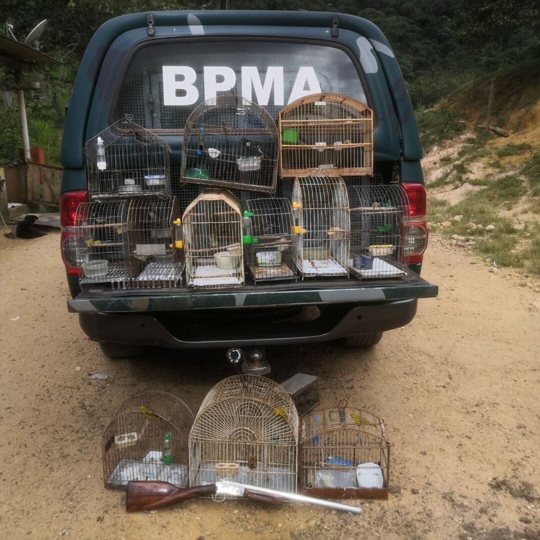 Pássaros e arma são apreendidos em Marechal Floriano