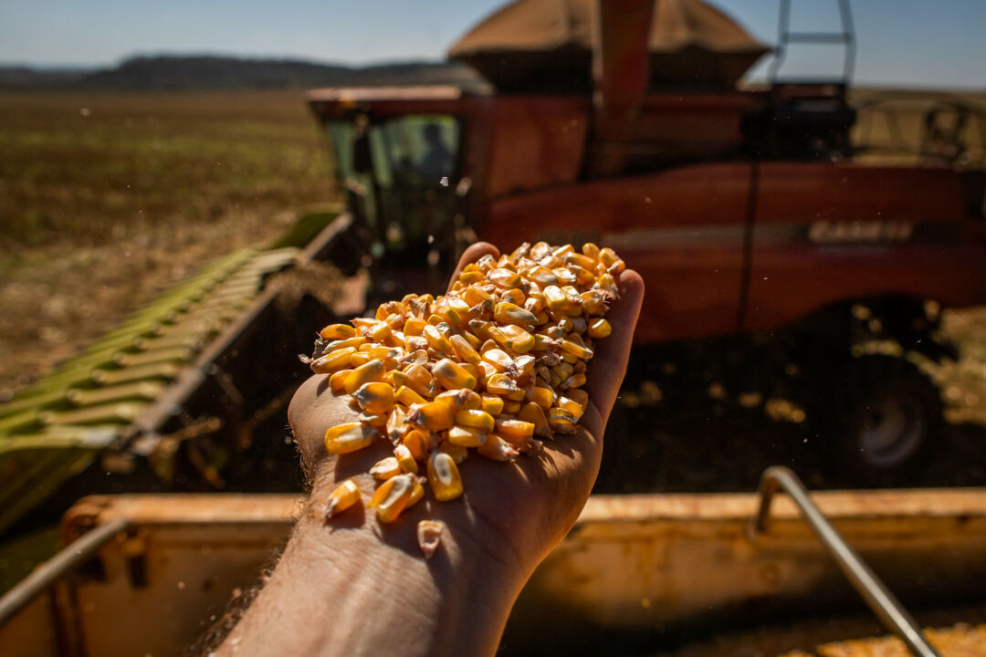 Congresso em Brasília discute dependência de insumos e impacto da geopolítica no agro