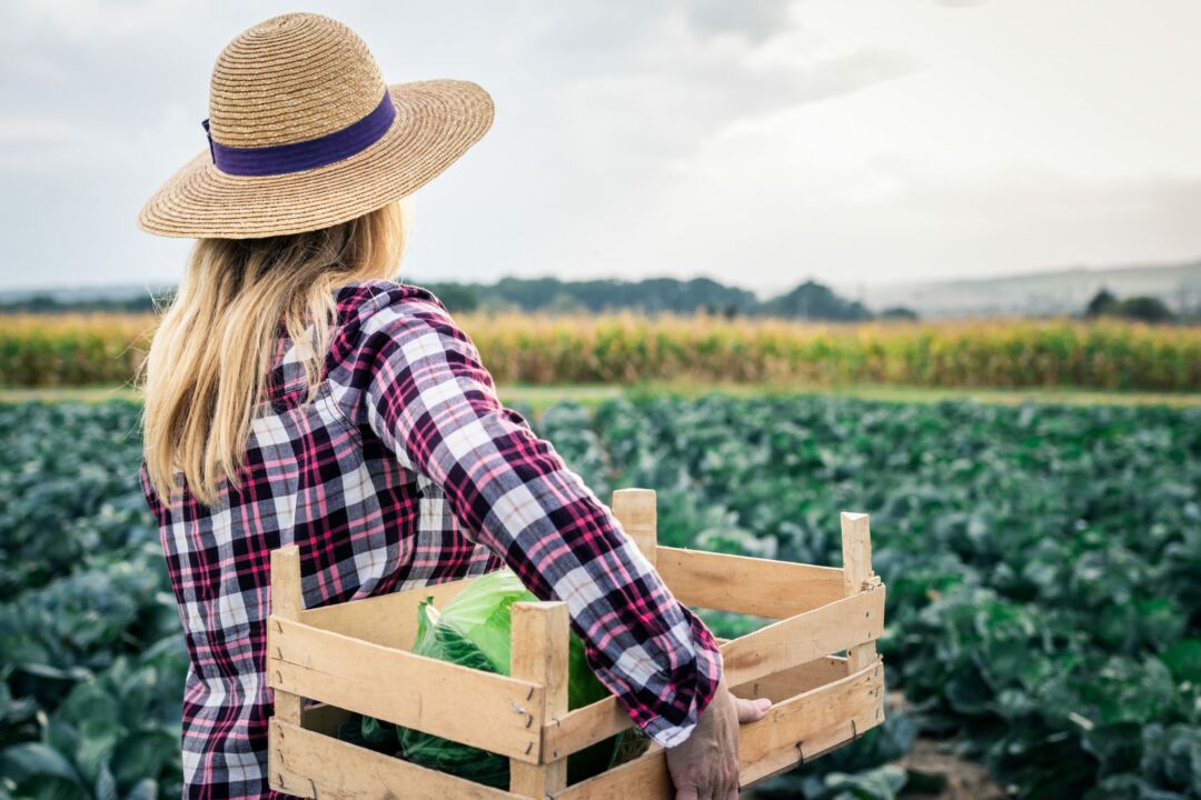 Mulheres ganham comissão especial na Federação da Agricultura de São Paulo