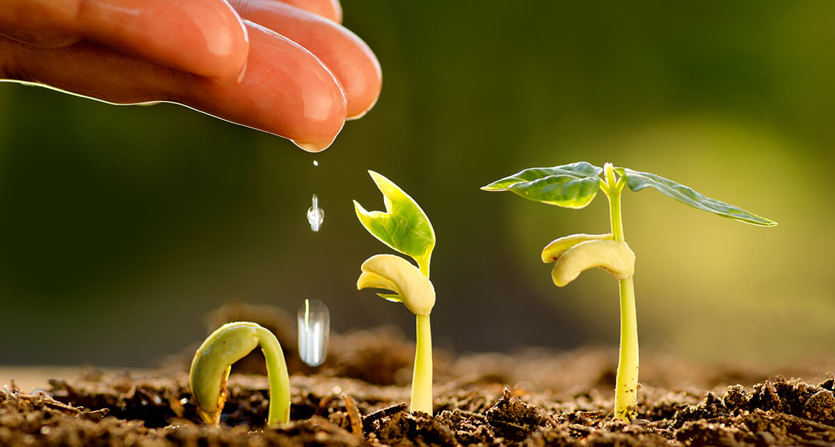 Brasil terá US$ 1,2 bi do BID para projetos de sustentabilidade agrícola