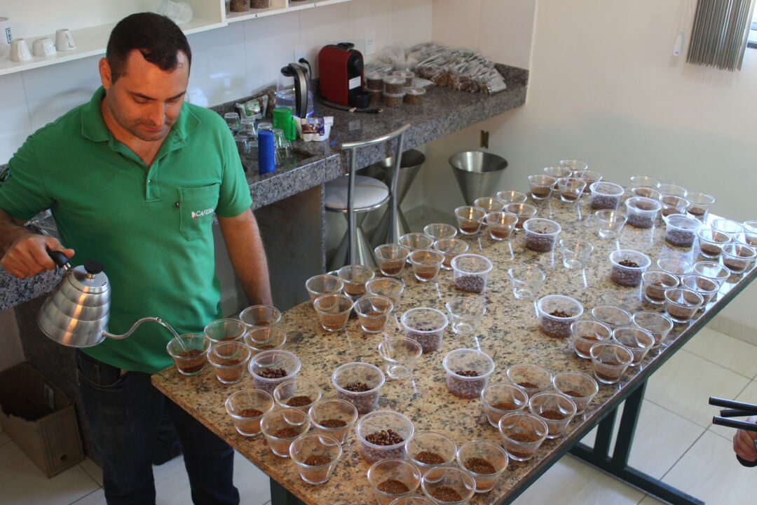 Curso formará provadores de café robusta