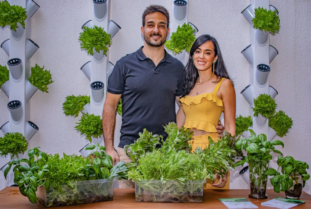 Empreendedores criam fazenda urbana com alimentos livres de agrotóxicos em Vitória