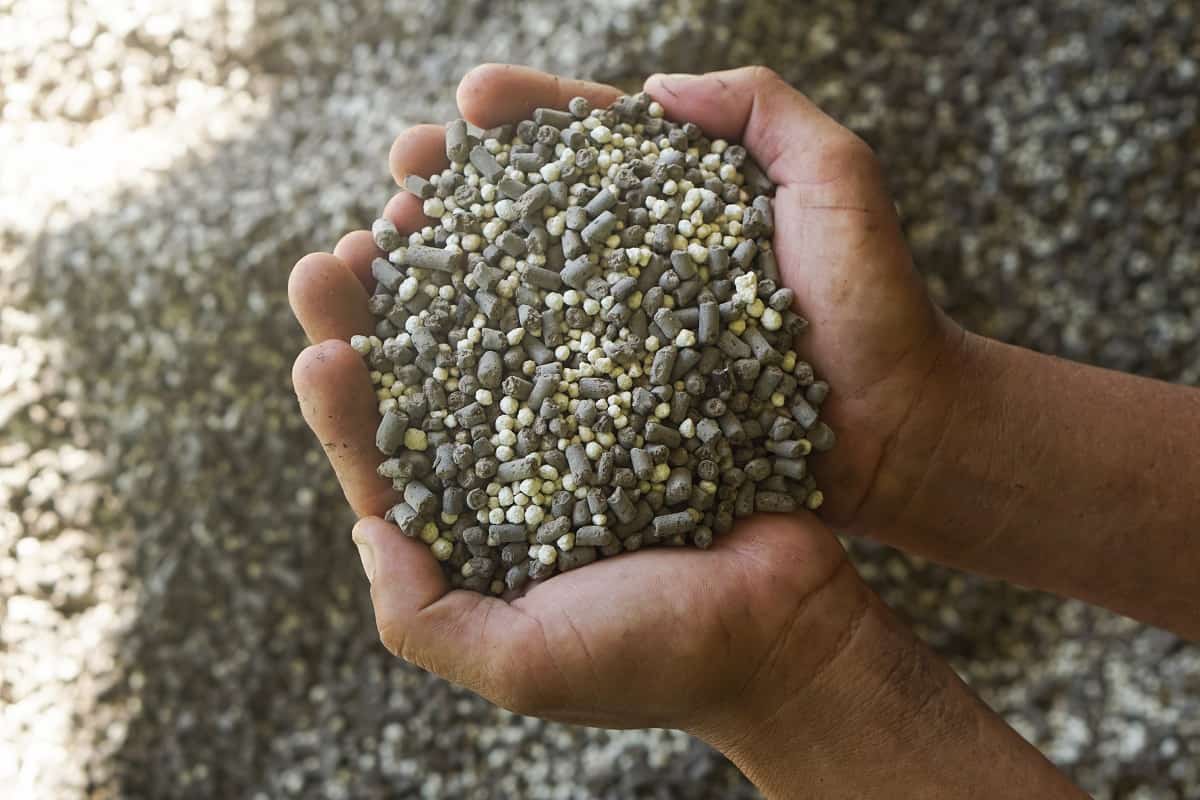 <strong>Impactos da guerra na Ucrânia reforçam a produção de fertilizantes organominerais</strong>