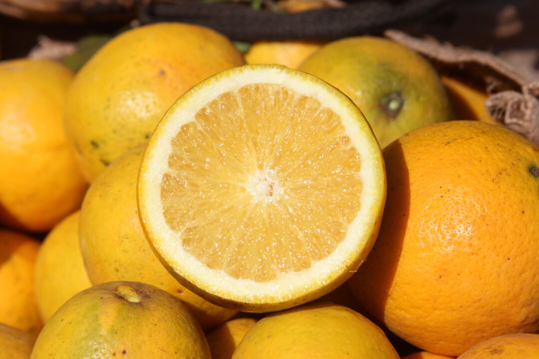 São Paulo lidera produção de frutas no Brasil