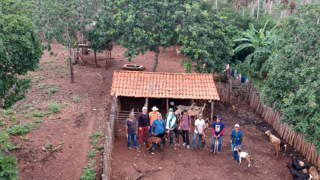 Produtores recebem apoio técnico para impulsionar criação de ovinos e caprinos no sertão nordestino