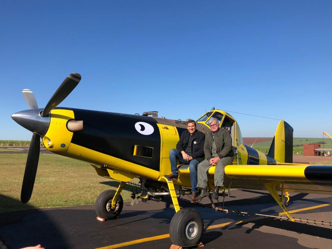 Avião caracterizado de abelha decola em homenagem aos maiores polinizadores do planeta