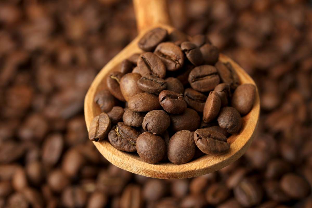 Guerra Rússia x Ucrânia impacta diretamente exportações de café solúvel do Brasil