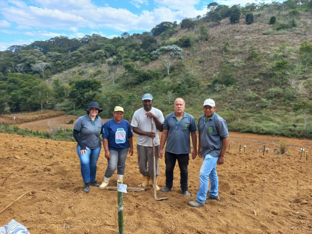 Estudo de melhoramento genético da mandioca é realizado em comunidade quilombola