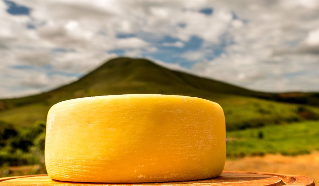 Queijo canastra é considerado o melhor do mundo