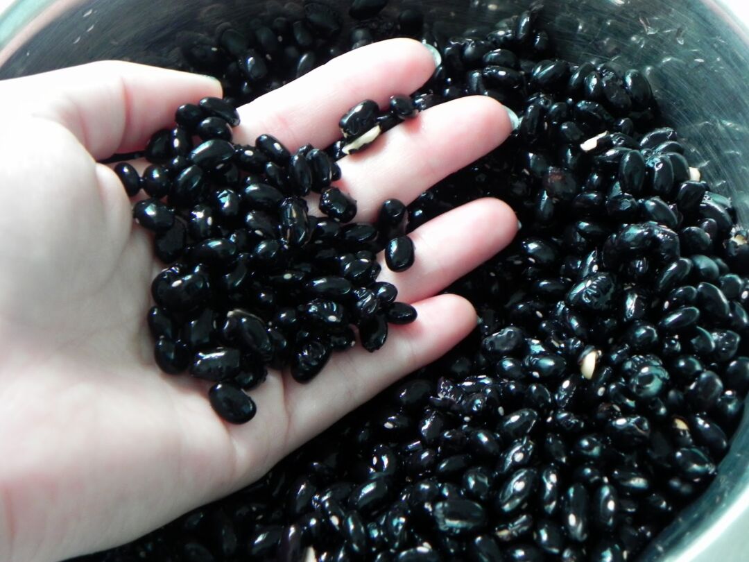 Produção de feijão-preto supera consumo em cerca de 100 mil toneladas