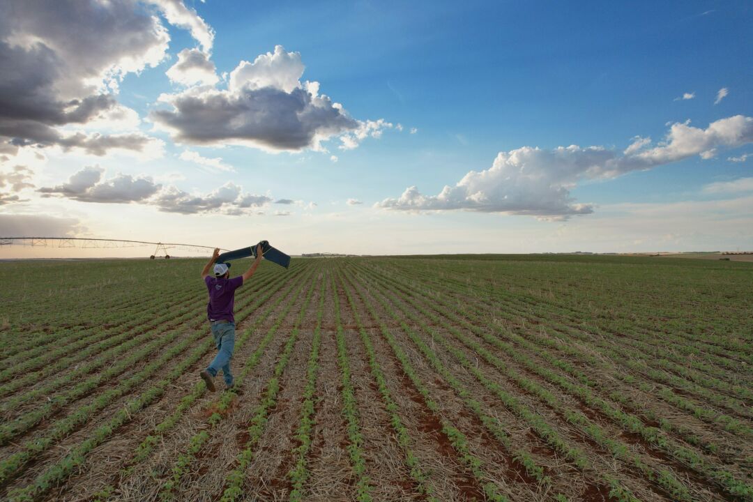 Ferramenta digital melhora em até 62% o uso de insumos no manejo de plantas daninhas