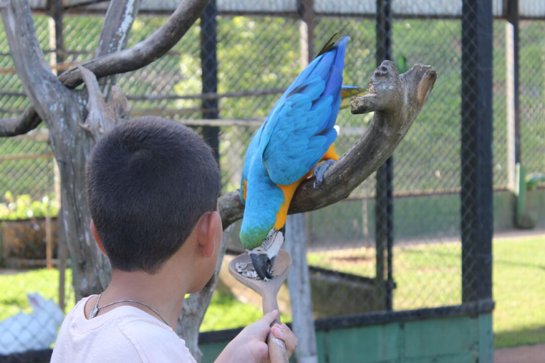 Bioparque das Aves amplia atendimento durante a semana de férias escolares