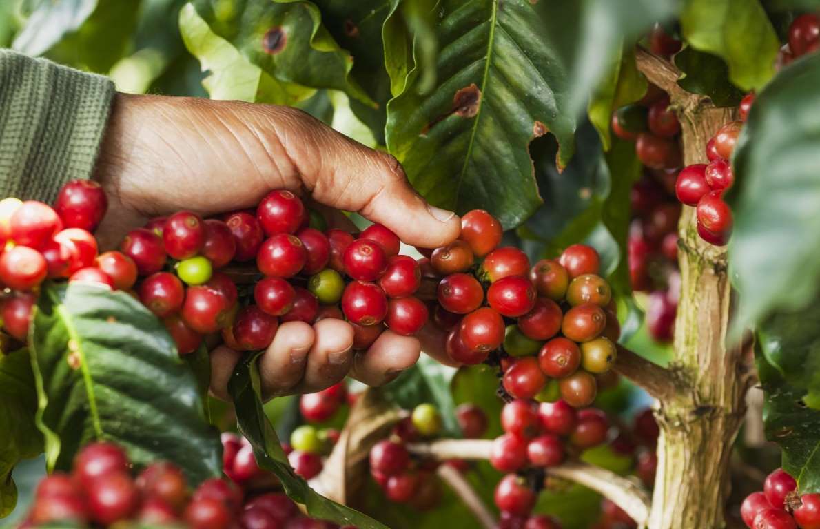 Brasil cria 277 mil novas vagas em maio, batendo recorde 