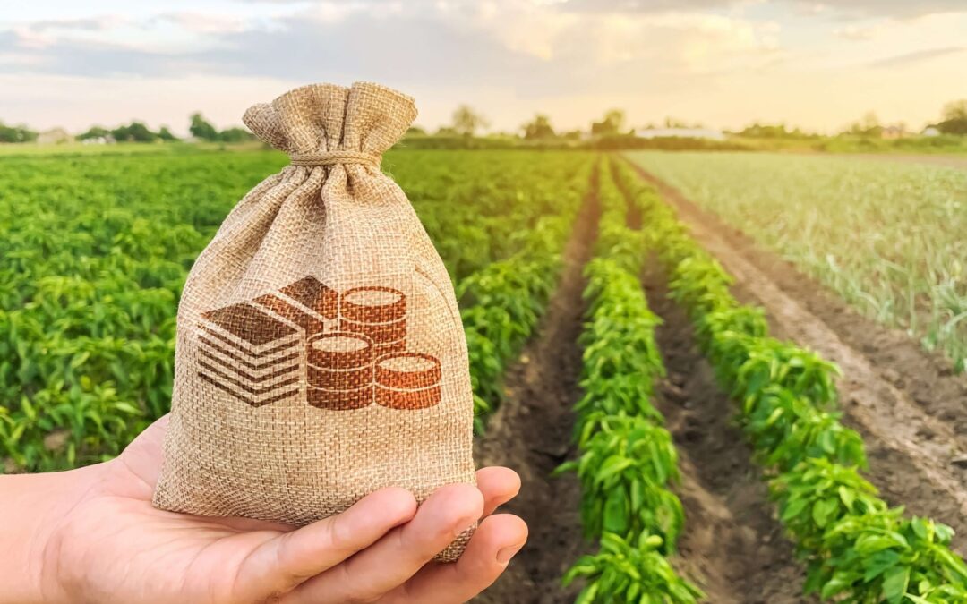 Produtor rural pode obter crédito para usina solar sem endividamento bancário￼