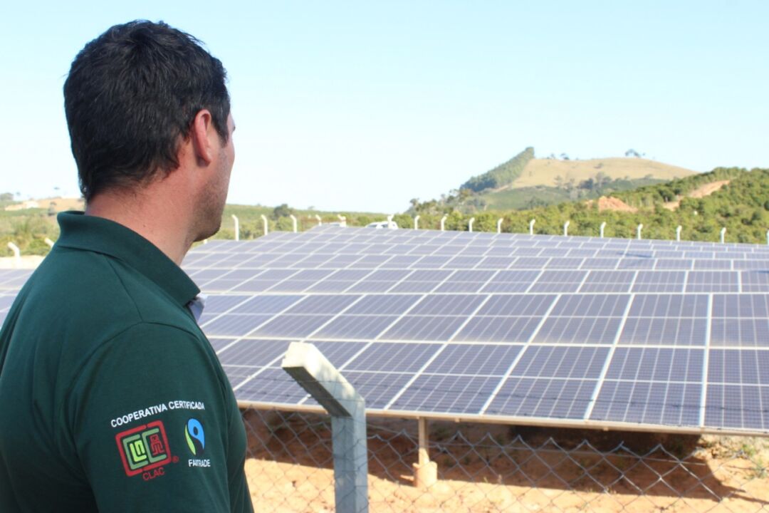 Prêmio Fairtrade estimula projetos inovadores na cafeicultura e citricultura brasileira