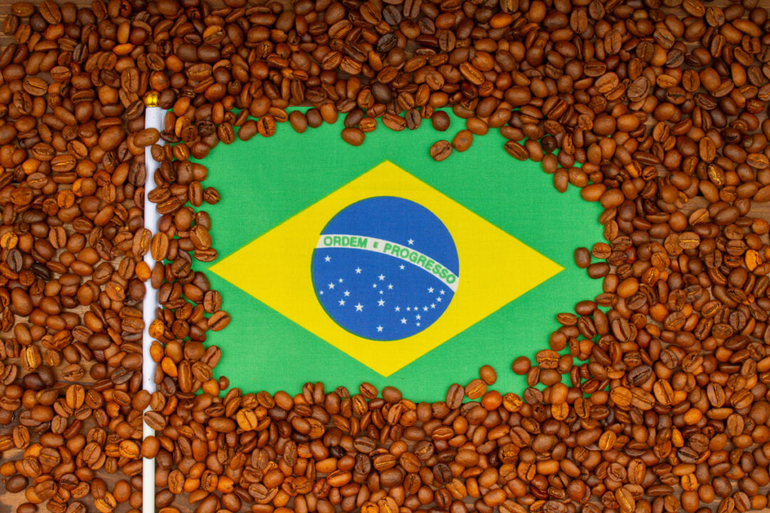 Exportação de café do Brasil cresce 18,7% em julho em comparação com 2022