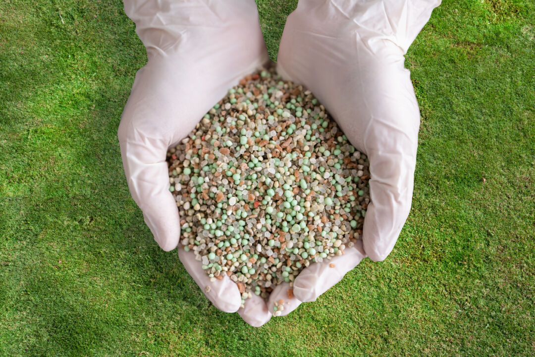 Agricultor tem momento favorável para compra de fertilizantes