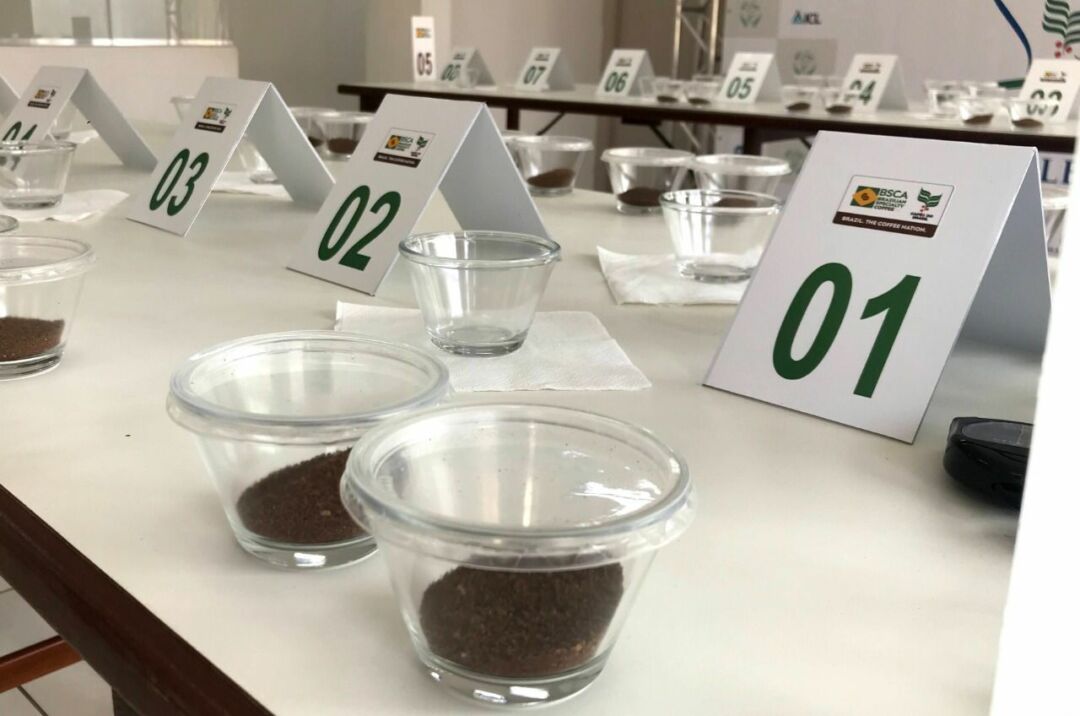 Café especial: abertas as inscrições para o principal concurso de qualidade do mundo