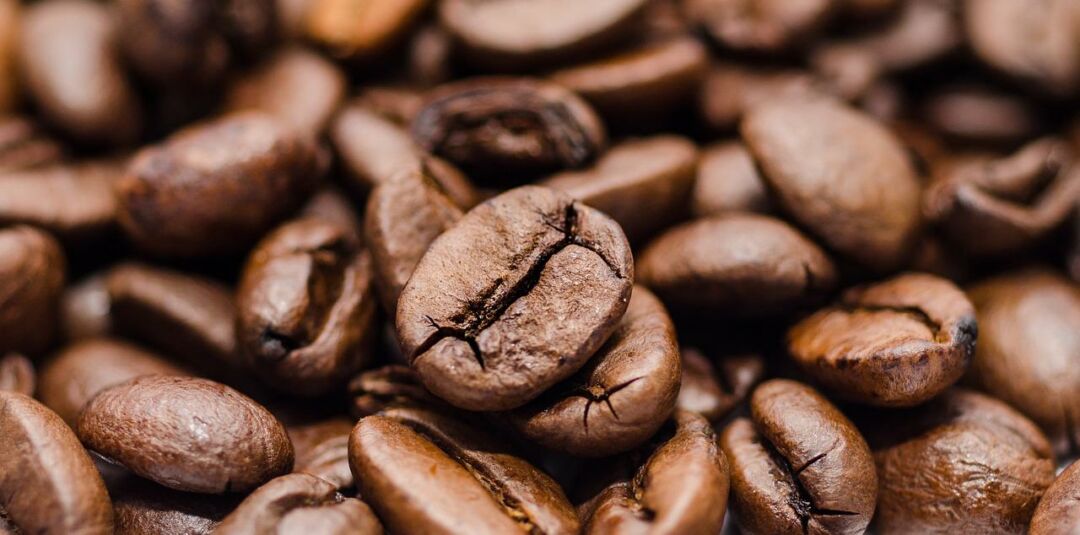 Encontro Mineiro de Cafeicultoras será no próximo sábado