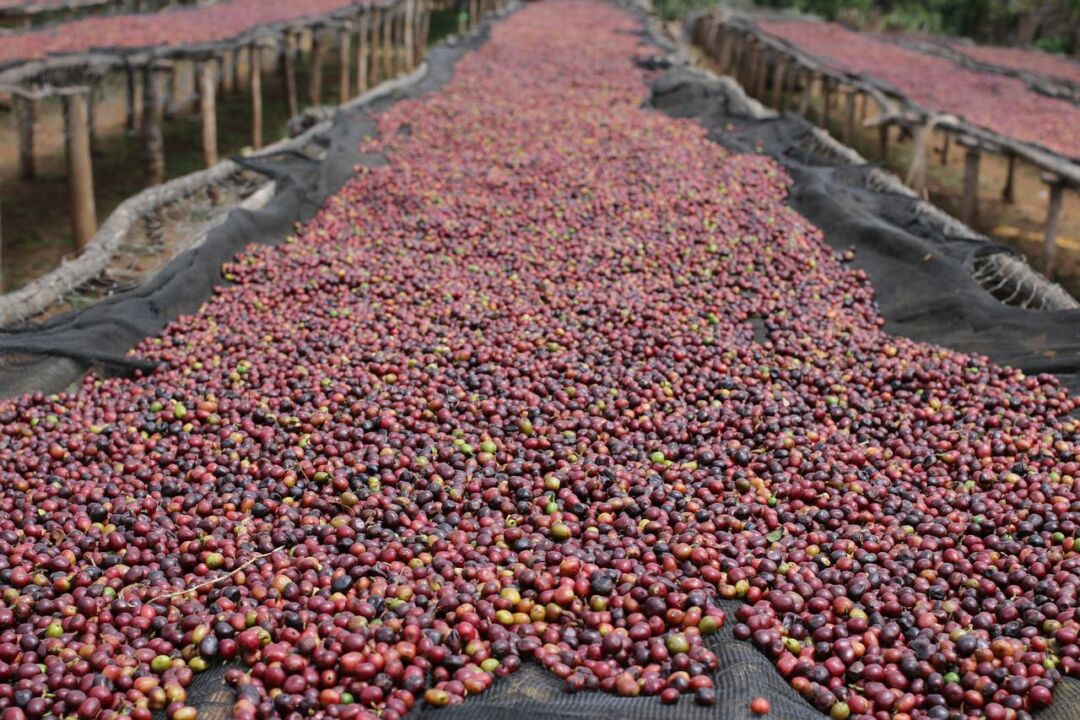 Concurso premiará soluções que buscam mais sustentabilidade dos sistemas alimentares