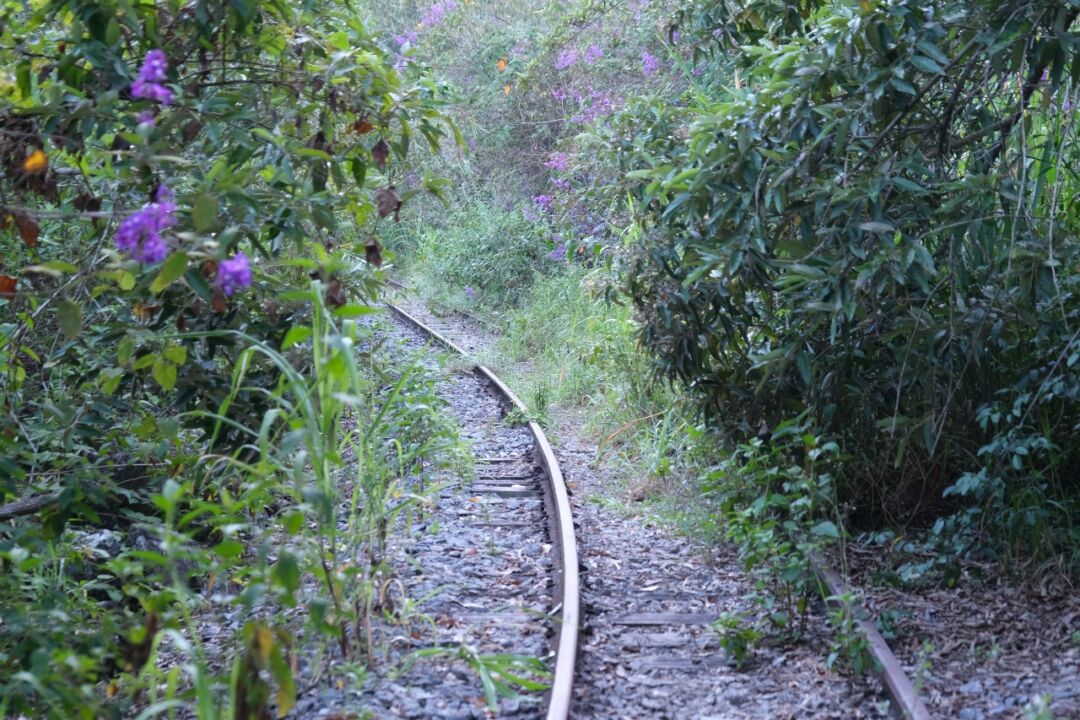Abandono coloca fim na em importante ferrovia do Espírito Santo