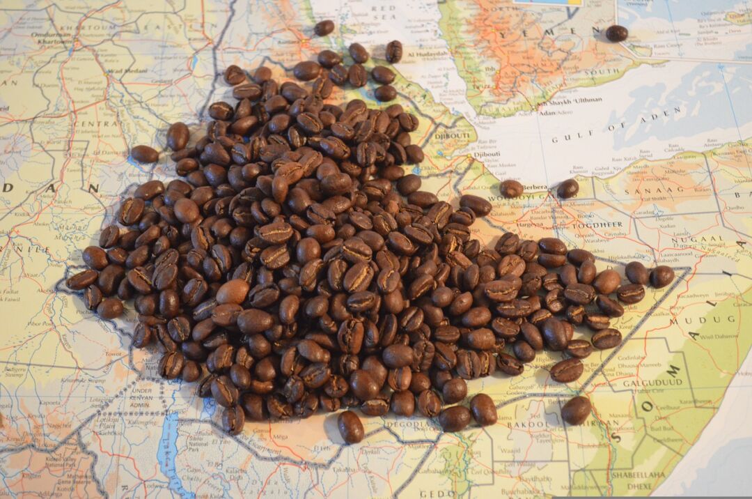 Exportações dos cafés diferenciados representam 18% do total vendido pelo País