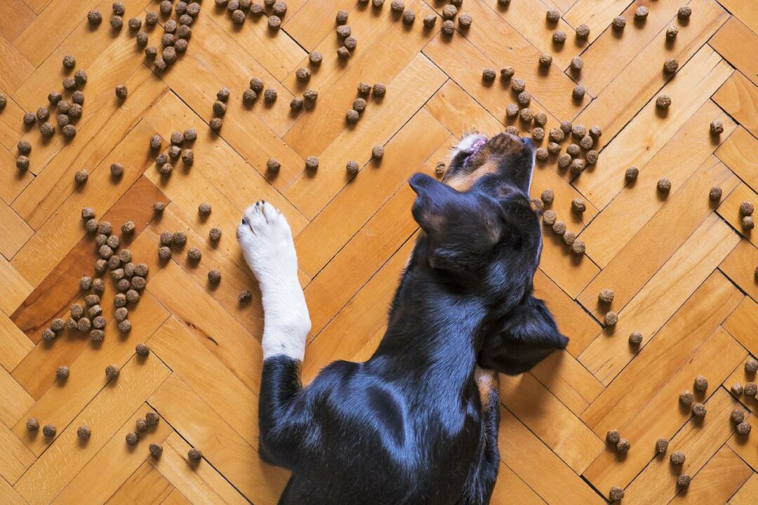 Determinado o recolhimento de produtos para alimentação animal de outras três empresas