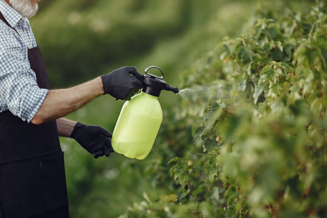 Consulta pública recebe sugestões para os cursos de capacitação para aplicador de agrotóxicos