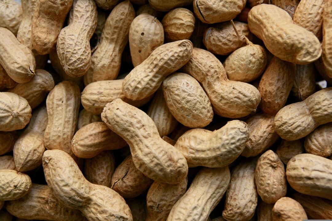 Produção de amendoim cresce mais de 100% nos últimos 8 anos