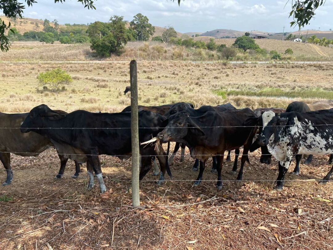 Itapemirim decreta situação de emergência devido a estiagem