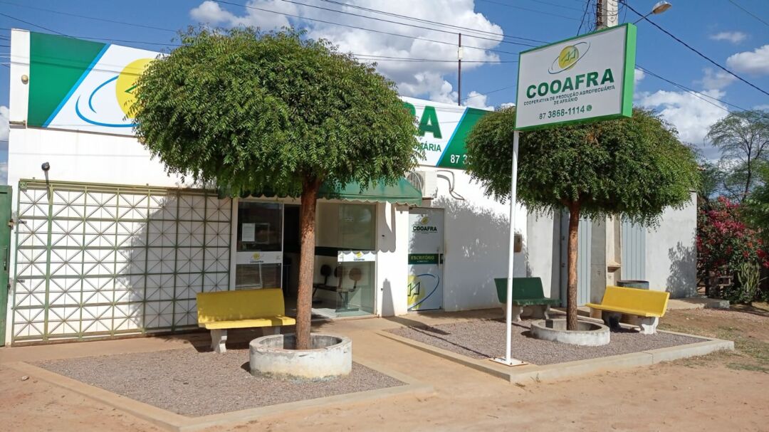 Pequenos produtores de leite têm renda garantida com apoio de cooperativa em Pernambuco