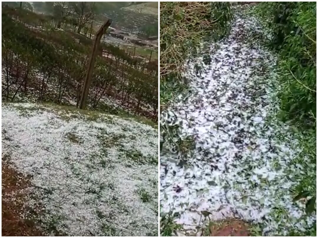 Granizo destrói lavouras de café e deixa rodovias cobertas de gelo