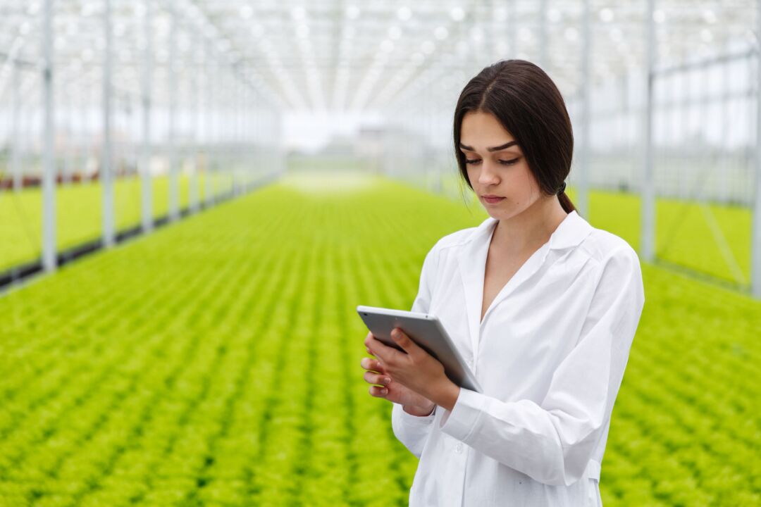 Transformação digital no agro será tema de Câmara Temática do Mapa