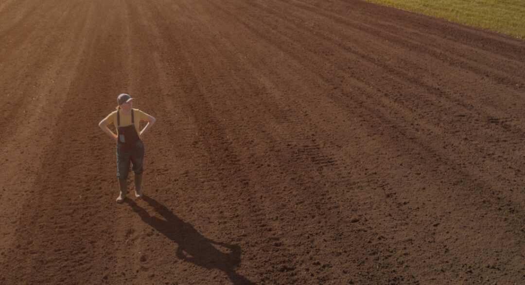 Brasil cria projeto para fortalecer agronegócio feminino