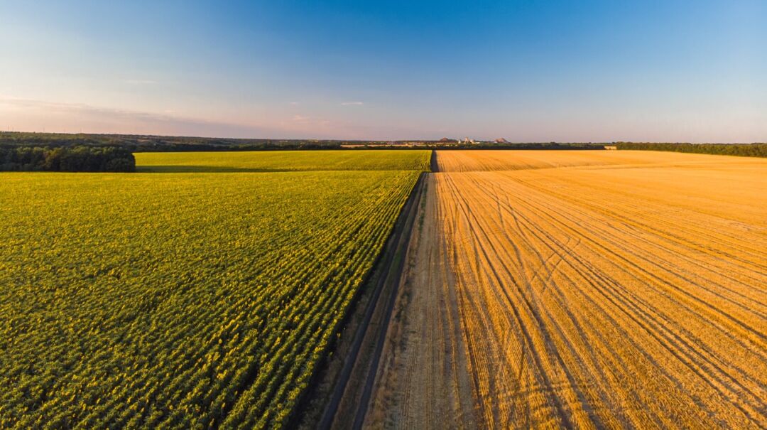 Especialistas debatem regulamentação da lei de autocontrole agropecuário