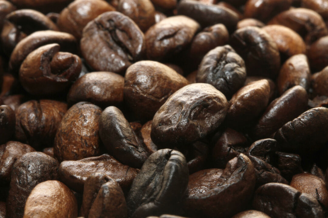 Pesquisas para o 4° Levantamento da Safra de Café 2022 e 1º da Safra 2023 começaram nesta segunda (7)