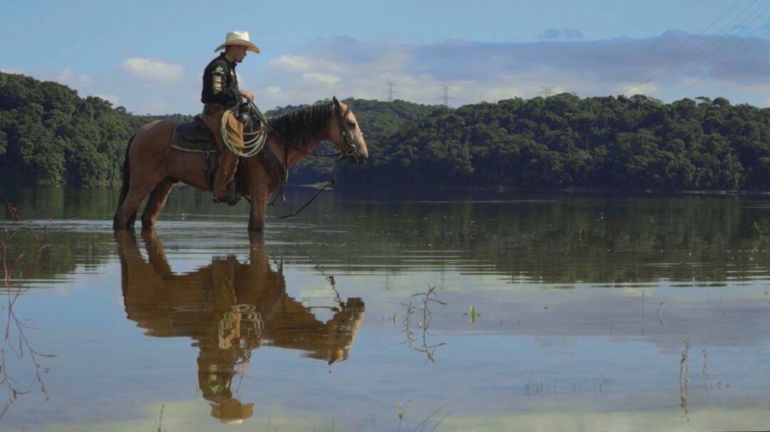 <strong>Termina nesta quarta-feira (21) a mostra de cinema Festival das Águas</strong>